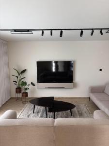 a living room with a couch and a tv on a wall at RASHI6 Boutique Villa in Netanya +13 photos