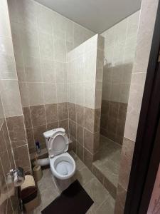 a bathroom with a toilet and a shower at Keruen in Taraz