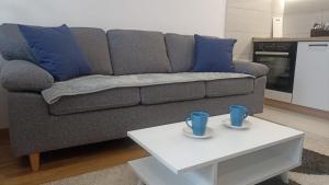 uma sala de estar com um sofá e uma mesa de centro em Apartman studio KOPS em Vranješ mais 14 fotografias