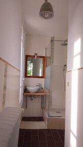 a bathroom with a sink and a shower at Chambres dans une maison de charme au calme en bord de Marne proche transports in Joinville-le-Pont