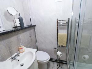 a bathroom with a toilet and a sink and a shower at Pendre Barn in Llanfyrnach +28 photos