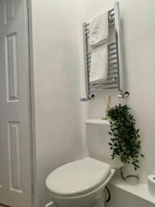 a white bathroom with a toilet and a plant at Harvieston Estate Rooms in Gorebridge