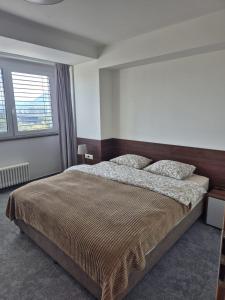 a bedroom with a large bed and a window at Lux 1960 in Banská Bystrica