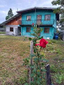 Un jardín fuera de Awesome Volcán Barú Views