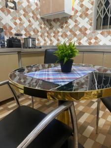 a glass table with a potted plant on top of it at Two Bedrooms Standby Generator DSTV Netflix W-iFi in Takoradi