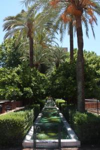 a walkway with palm trees and a bench in a park at Apartamento Orange Triana centro in Seville