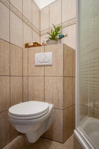 a bathroom with a toilet and a shower at Mádi Kúria Hotel és Rendezvényközpont in Mád +22 photos