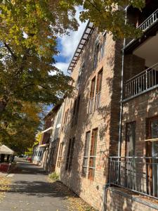 un bâtiment en briques dans une rue à côté d'un arbre dans l'établissement Mamamia Apartman, à Gyula