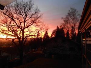 a sunset with a tree in front of a house at Dornbirn Zentrum Bahnhof in Dornbirn