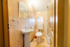 Un baño pequeño con lavabo e inodoro. en Vila Verde Păltiniș, en Poplaca 59 fotos más