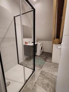 a bathroom with a mirror and a washing machine at Maison dans corps de ferme rénovée in Nantes-en-Rattier