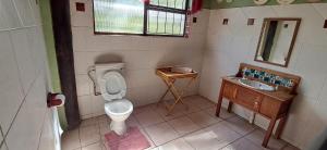 a bathroom with a toilet and a sink at Daisy Lodge in Barberton