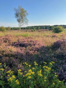 Φυσικό τοπίο κοντά σε αυτό το διαμέρισμα +19 φωτογραφίες