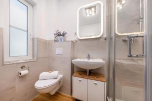 a bathroom with a sink and a toilet and a shower at Haus Kranichwiese in Zingst