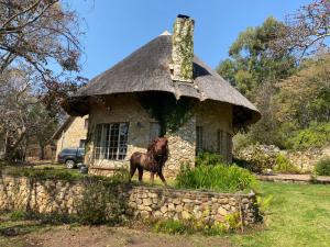 Beautiful round shaped cottage - 2094 في Juliasdale: حصان يقف أمام مبنى به سقف