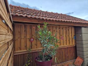 a wooden fence with a plant in front of it at Maison chaleureuse au calme in Domérat