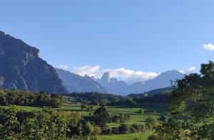 a view of a valley with mountains and trees at La casina de Tielve de Cabrales dentro del Parque Nacional Picos de Europa in Tielve +9 photos