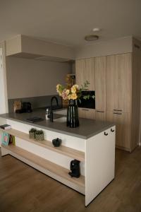 a kitchen with a sink and a vase of flowers on a counter at Suite Vuurtoren Zeeland in Scherpenisse +5 photos
