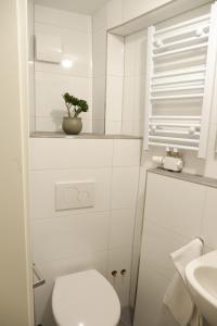 Un baño blanco con inodoro y lavabo. en Apartment Zentral, en Tübingen