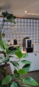 ソウルにあるHotel YEOWOOJAMのキッチン(電子レンジ、植物付きのカウンター付)