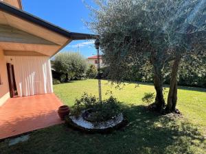 Zahrada ubytování Bed & Breakfast Rezzonico