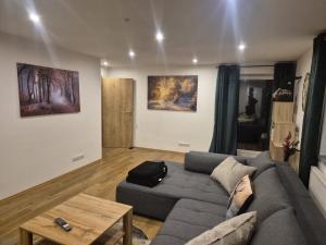 SilberbergにあるFerienwohnung am Silberbergのリビングルーム(グレーのソファ、テーブル付)