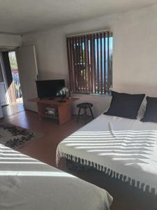 a bedroom with two beds and a tv and a table at Вила "до Гората" in Zărkwischte