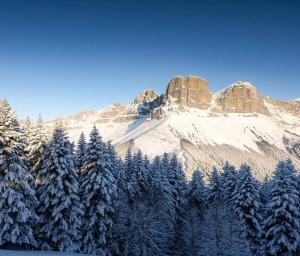 a snow covered mountain with trees in front of it at Studio plein sud avec vue magnifique in Château-Bernard