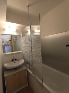 a bathroom with a sink and a shower and a mirror at Studio plein sud avec vue magnifique in Château-Bernard