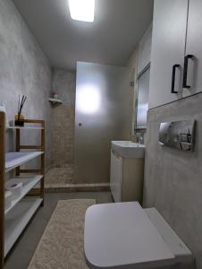 a bathroom with a toilet and a sink at Apartament spatios, mobilat si utilat complet in Floreşti