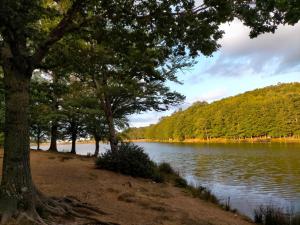 Blick auf einen See mit Bäumen am Ufer in der Unterkunft Sicily Sea House  in Gioiosa Marea