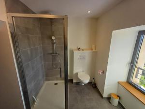 une salle de bain avec douche et toilettes dans l'établissement La maison de Louise, à Colombiès