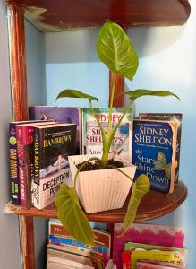 una planta sentada en un estante con libros en The bunker Hostal - Ella Srilanka, en Ella