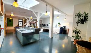Kuchyň nebo kuchyňský kout v ubytování Loft im Szeneviertel Mannheims