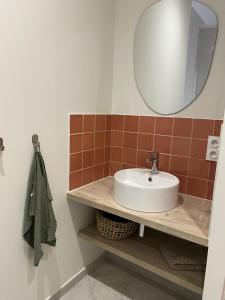a bathroom with a sink and a mirror at Chez Elsa et Camille in Aigues-Mortes