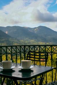 two coffee cups sitting on a table with a view at Αρχοντικό in Méga Khoríon