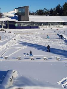 a group of people skiing in the snow at Hjortens vandrarhem in Herräng