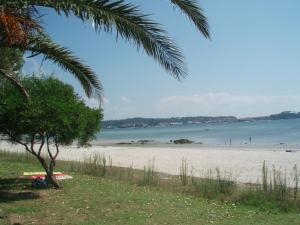 a beach with a palm tree and the ocean at Jardín de Boiro in Boiro