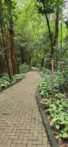 Galeriebild der Unterkunft Ufanisi Resorts in Kisii