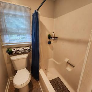 a bathroom with a toilet and a shower and a tub at Daddy's Girl Bed & Breakfast in Richmond
