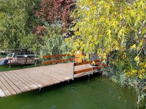 a wooden dock in the water next to some trees at BékaLak Vendégház in Ráckeve
