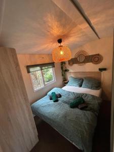 a bedroom with two beds in a tiny house at Forest Cabin - Waldhütte Tante Truus Veluwe - Recreatiepark 't Veluwshof in Hoenderloo