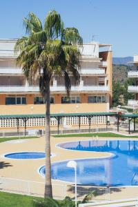 a palm tree in front of a building at Blanca Mar in Barrio-Mar +18 photos