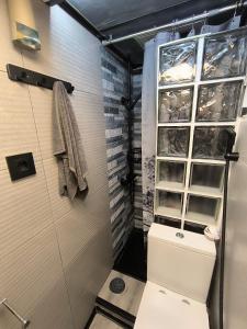 a small bathroom with a toilet and a shower at Casa Atocha 1913 Apartamento Histórico con Encanto in Madrid