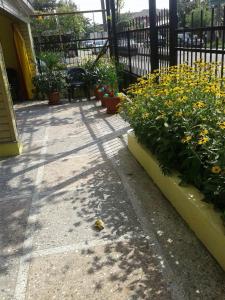 Giardino di Welcome to Kobuleti