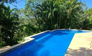 a blue swimming pool with trees in the background at Runaway Pineapple Lodge in Mangrove Bight +29 photos