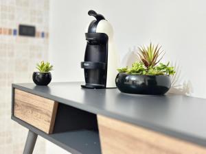 マルサラにあるVilletta Ludovicaのカウンターの上に置かれたコーヒーメーカーと2つの植物