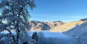 a view of a valley with snow covered mountains at Chalet Tiny & Campagne in Onnion