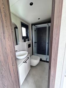 a bathroom with a toilet and a sink at Chalet Tiny & Campagne in Onnion
