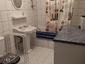 a bathroom with a sink and a shower curtain at Gîte convivial avec 3 chambres, proche du patrimoine historique, cour et équipements inclus - FR-1-589-38 in Aouze +22 photos